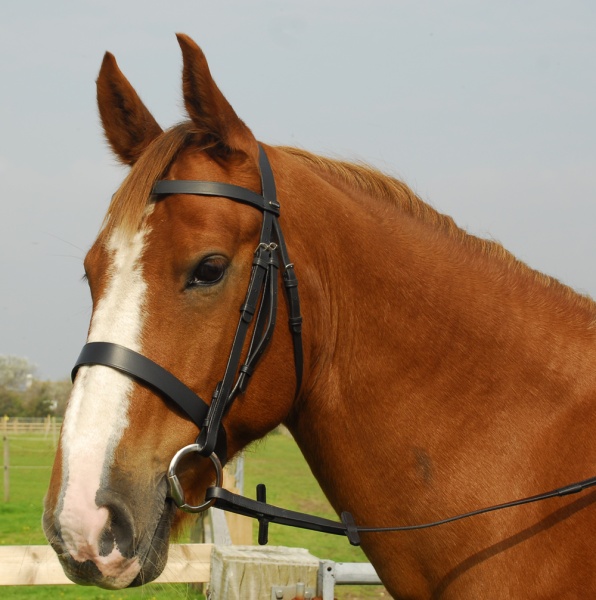 Windsor Saddlery English Leather Hunter Bridle With Wide Cavesson Noseband